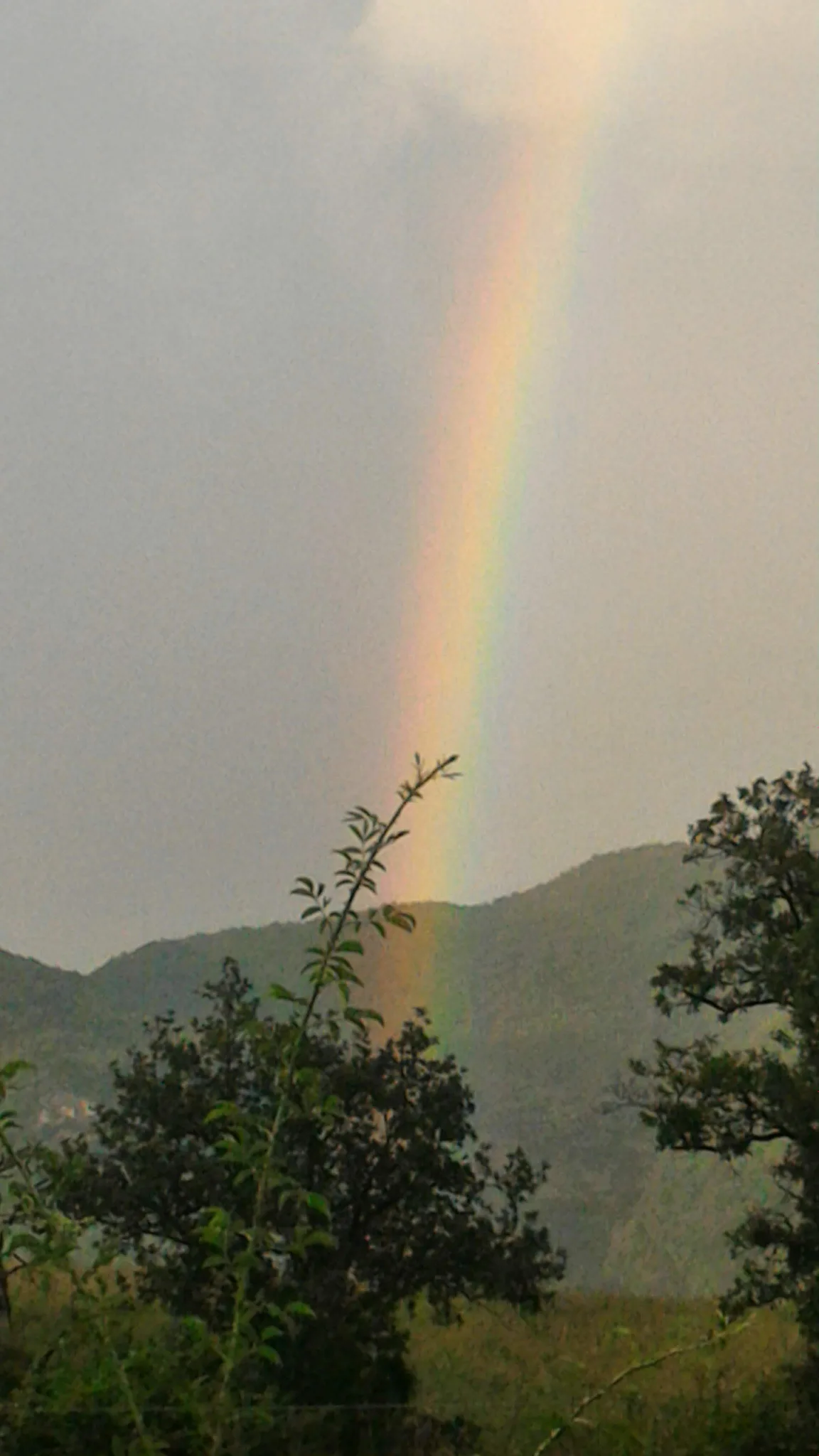 Un arcobaleno discende verso una montagna immersa nella natura