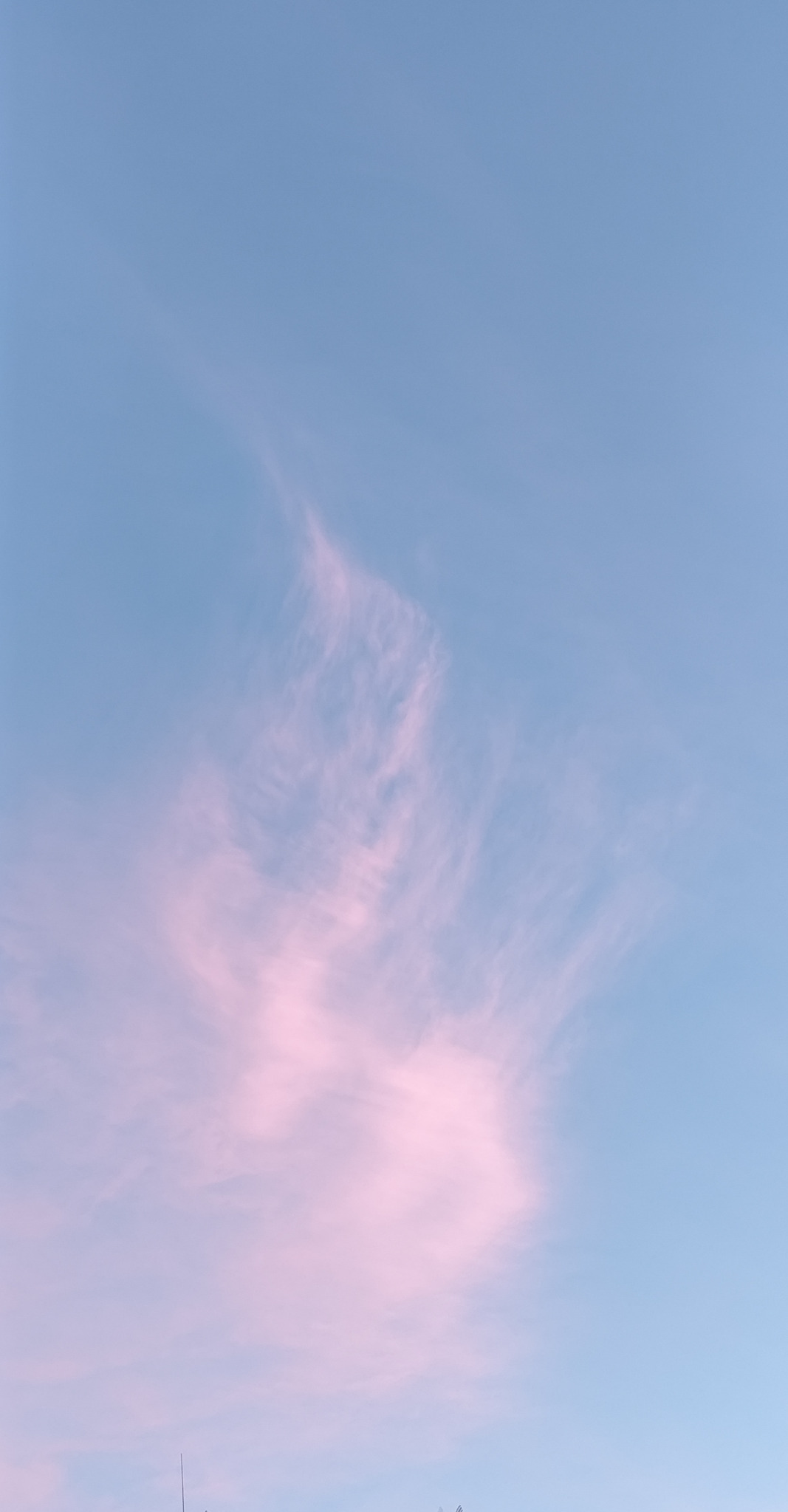 Una nuvola rosa si innalza in un cielo azzurro