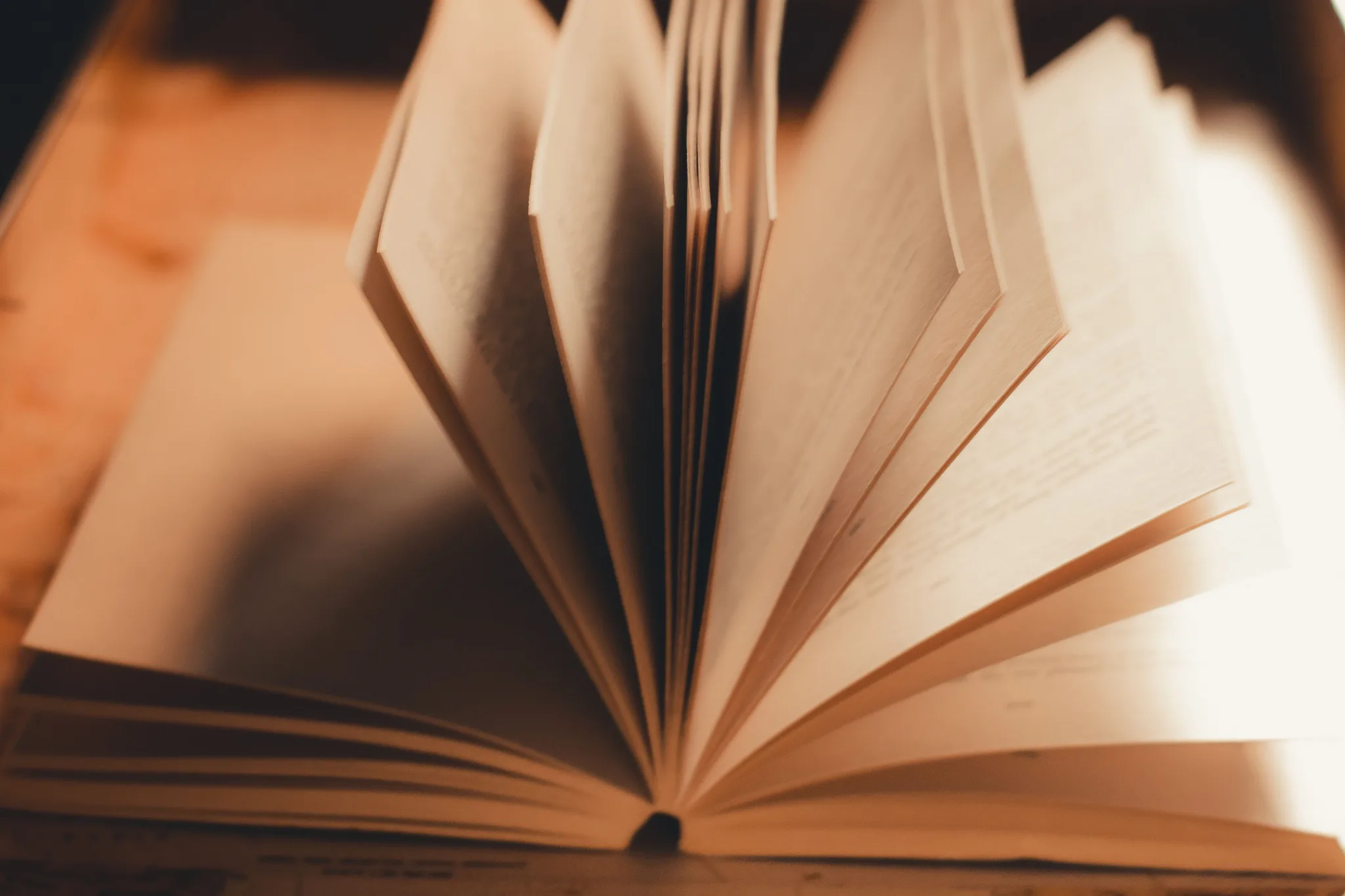 Il dettaglio delle pagine di un libro aperto attraversate dalla luce