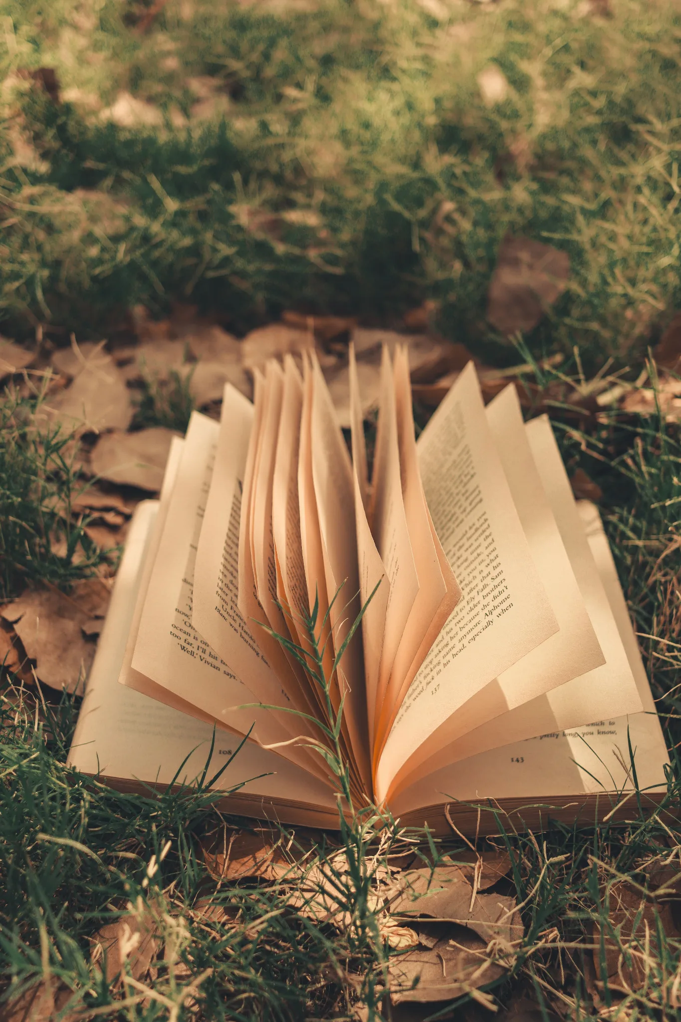 Un libro aperto nell’erba, accarezzato dalla luce naturale