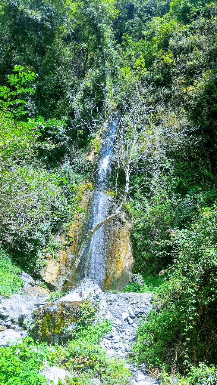 Una cascata scende tra alberi, roccia e vegetazione