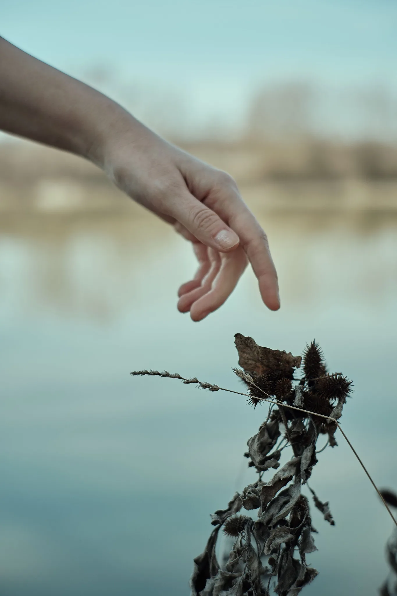 Una mano sfiora delicatamente una pianta nella quiete